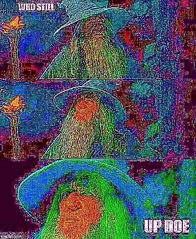 Deep Fried Meme